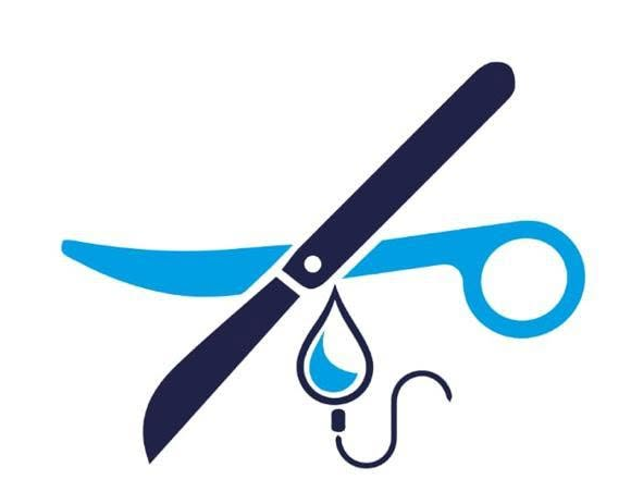 Botswana Surgical Society logo